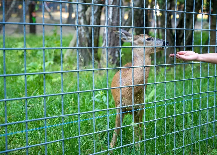 Mountain Escape House With Indoor Pool *